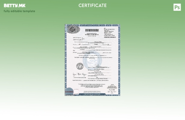 Модерен стил, шаблон за сертификат за брак од државата Невада во САД во шаблон з